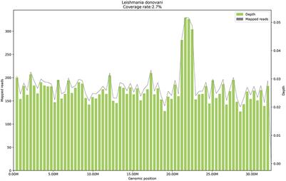 Case report: Application of metagenomic next-generation sequencing in the diagnosis of visceral leishmaniasis and its treatment evaluation